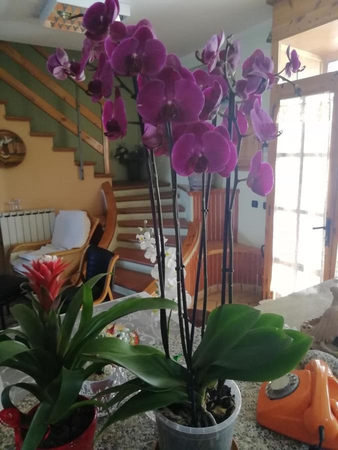 B&B Passo Del Falco Sorianello Экстерьер фото